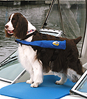 oysterbay 2012 05 uscg dog 2