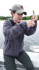 patagonia g 576x1024 1