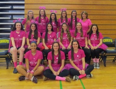 photo 1) Dig Pink-varsity volleyball (640×494)