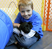 Visitors can romp with puppies at DogAbility at HANC on Sundays. plainview 2014 01 17 DogAbilityb