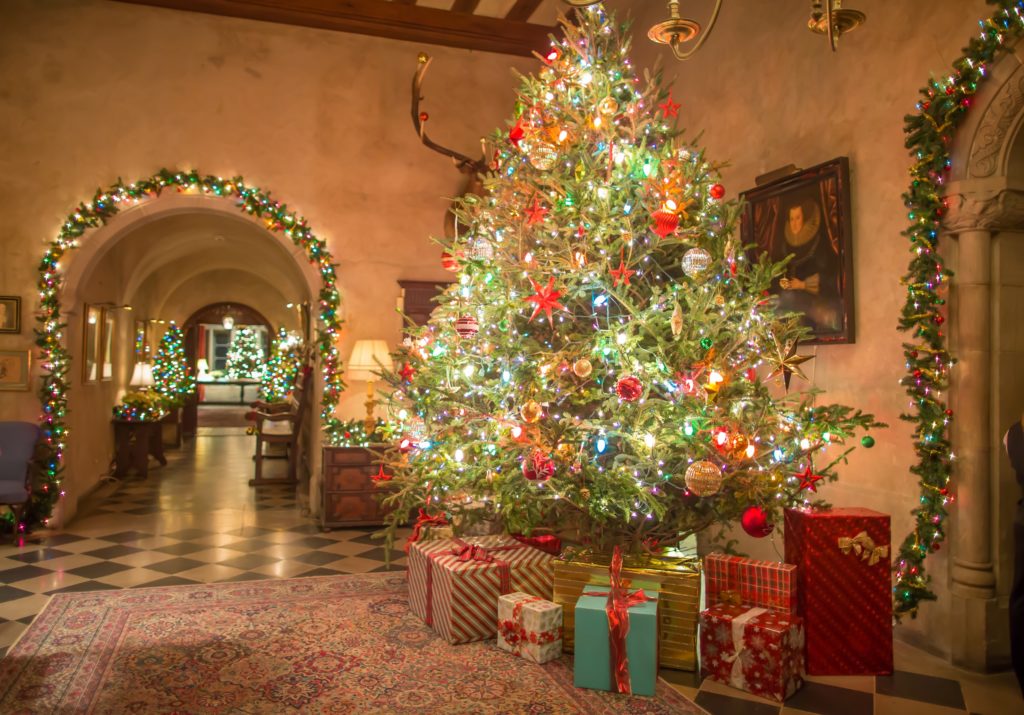 planting fields holiday festival tree coe hall