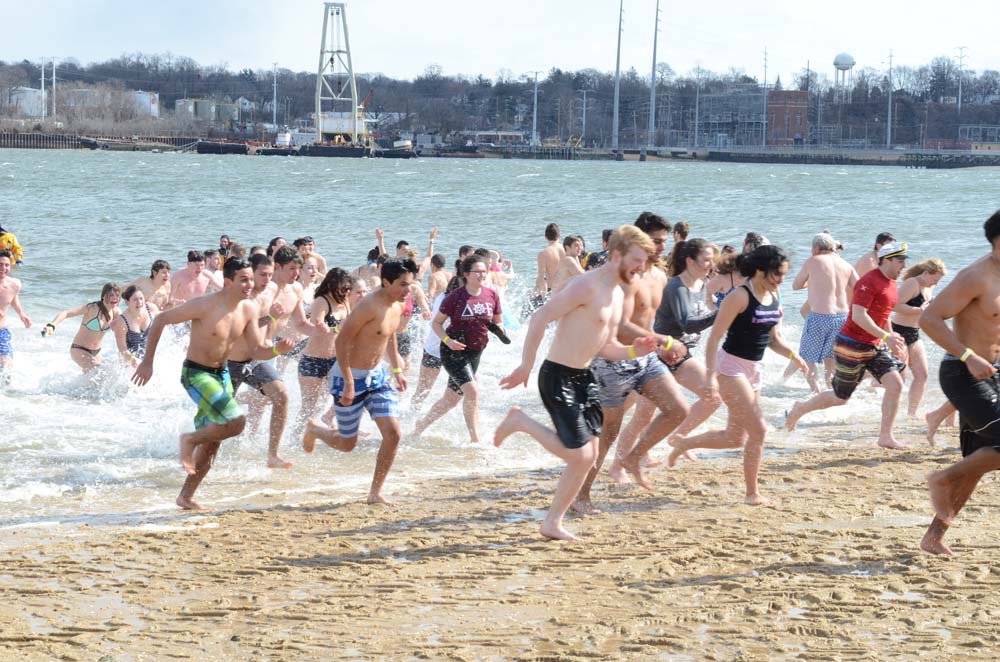 polar plunge
