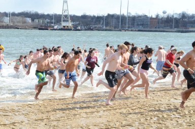 polar plunge