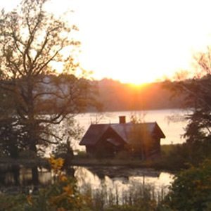 pond