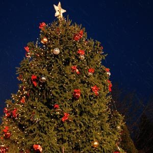 port-tree