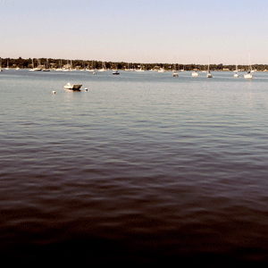 port