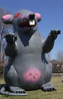 rats_three