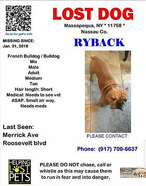 ryback missing dog massapequa