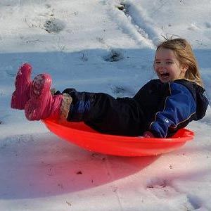 sled