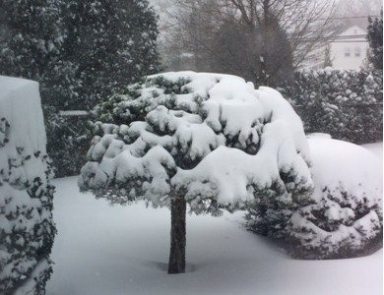 snow