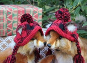 sppc woodland holiday walk red fox close up 1024x741 1