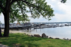 steering comittee cover a