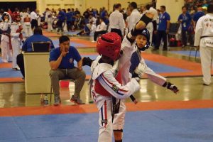 Wong performs  an axe kick.