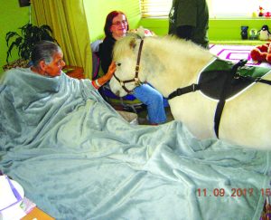 therapyponies y 1024x831 1