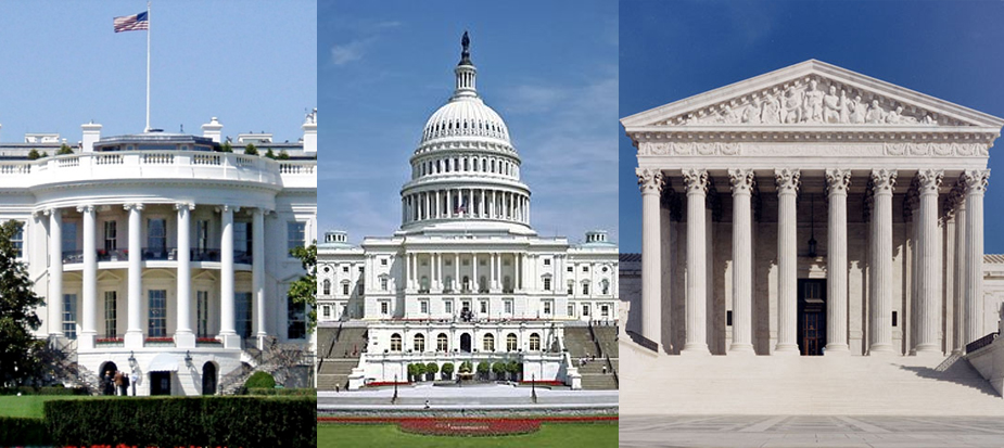 http://hicksvillenews.com/wp-content/uploads/2018/02/three-branches-of-government.jpg