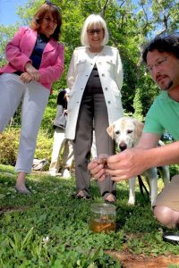 thumbnail_IMG_0660