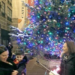 tree