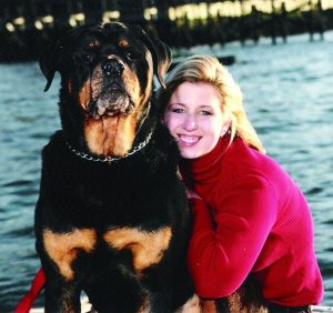 vetonwheels110415d e1447264946729 1024x965 1