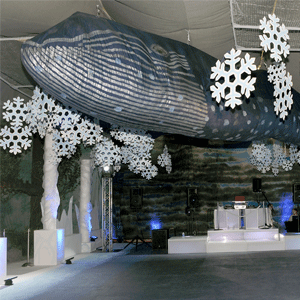 whale