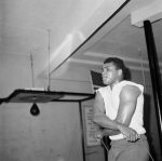 11 bx0116 one of the first photos k took of a 1965