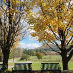 20181020 132722c 768x1024 1