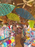 20181108 122948 768x1024 1