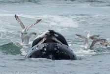 28581135407 322eddee9b b 1024x683 1