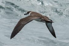 29952817488 b95d231255 b 1024x683 1