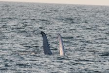 30442453648 f23e201c0f b 1024x683 1