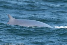 43402545594 8cd75a8c96 b 1 1024x683 1