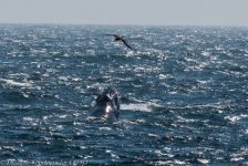 44188044692 baf8a5d45a b 1024x683 1