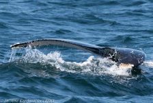 44309300901 24eb6a9f91 b 1024x683 1