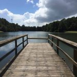 Activities PreserveB 768x1024 1