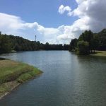 Activities PreserveC