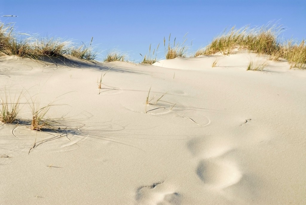 Beaches_060614A