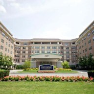 the harborside