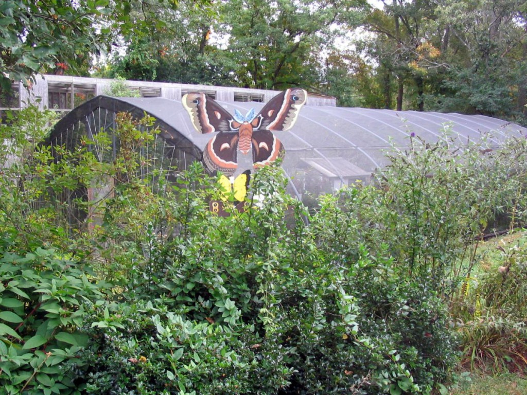 ButterflyHouse_090614