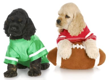 CVA_Super Bowl Image