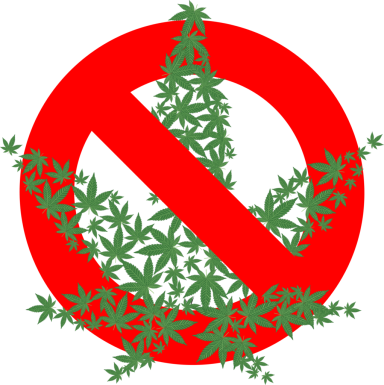 Cannabis_Cover 6-2_A