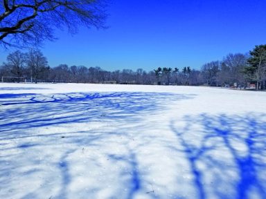 CantiaguePark_Field (2)