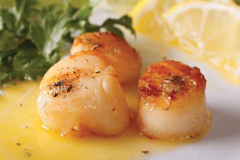 Chefs_C
