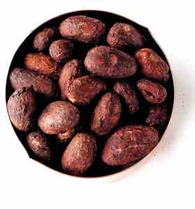 CocoaBeans