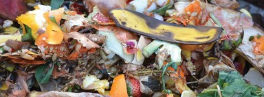Compost_A