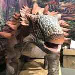 Dinosaurs A