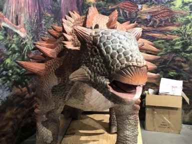 Dinosaurs_A