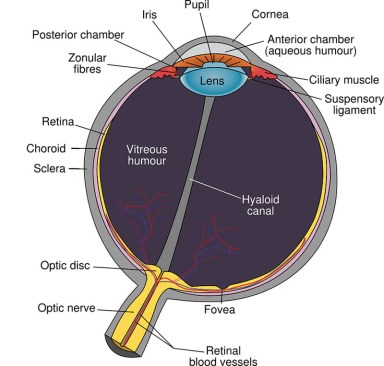 EyeHealth_A