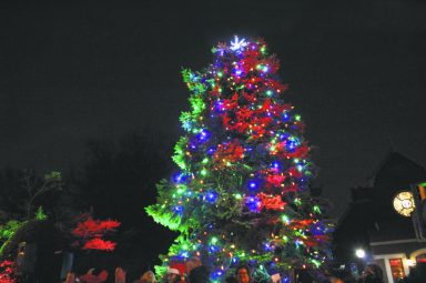 FPTree_C