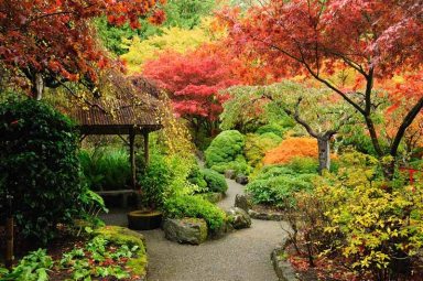 Fall garden