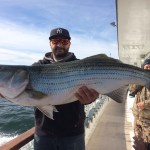 Fish 8