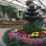 Flower Show 2015 1024x768 1